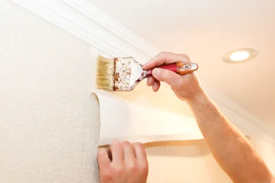 Pose de papier peint à Cros-de-Montvert — revêtements muraux et toiles de verre